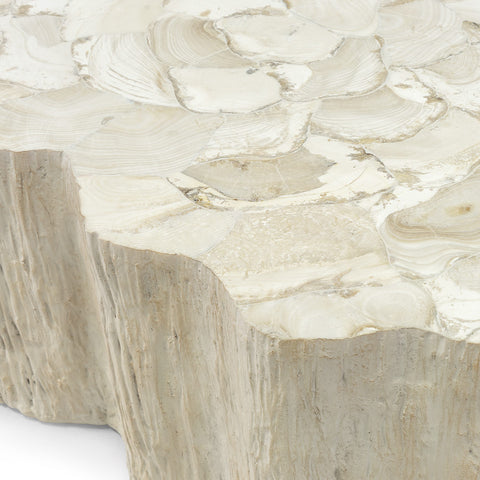 Palecek Camilla Fossilized Clam Coffee Table